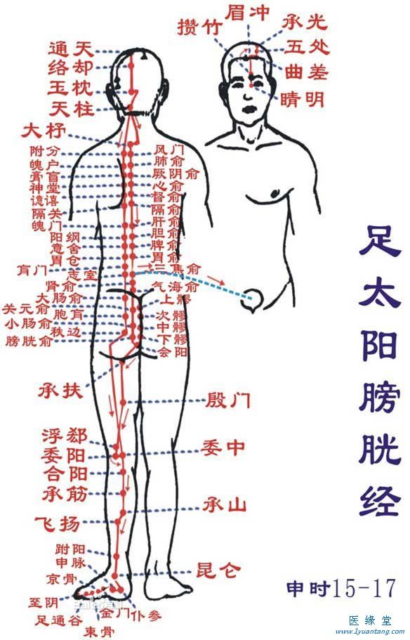 如何利用足太阳膀胱经“生命羞羞漫画成人在线观看”提精神，增加健康指数